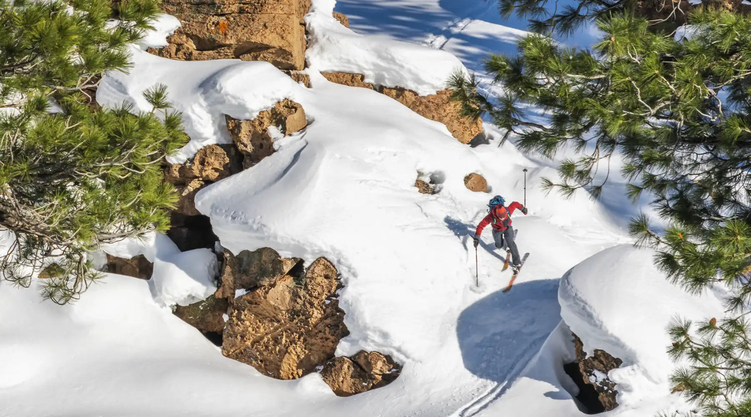XCD Skis