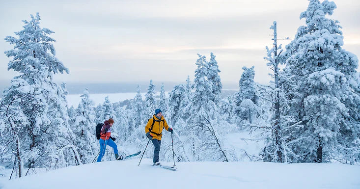 If You Love Snowshoeing, You’ll Love Skinbased Skiing More
